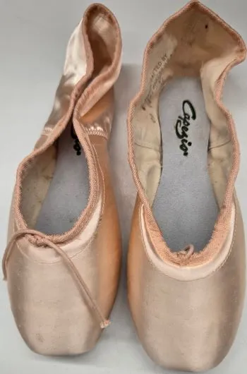 Classic Base All Day Road Trip Aerial -- Pointe Shoe -- European Pink Satin